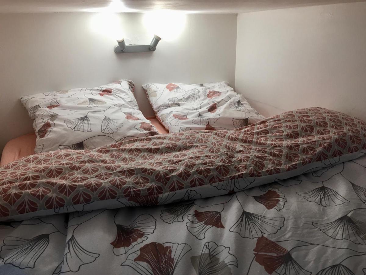 Le Jungle Studio Apartman Rouen Kültér fotó