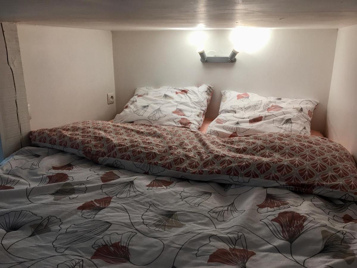 Le Jungle Studio Apartman Rouen Kültér fotó
