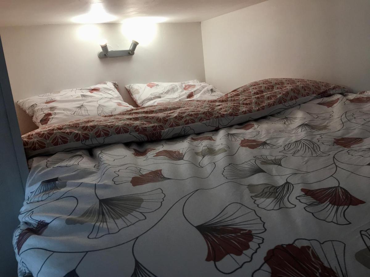 Le Jungle Studio Apartman Rouen Kültér fotó